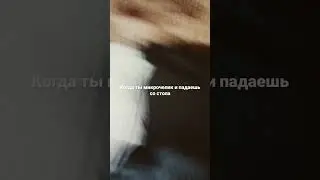 Микрочелик😀