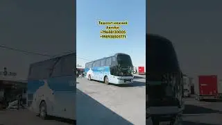 Автобус Ташкент нижний