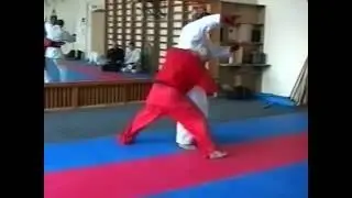 Андрей Кочергин. Кои Но Такинобори рю.