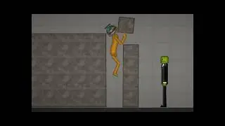 pumpkin and melon 1