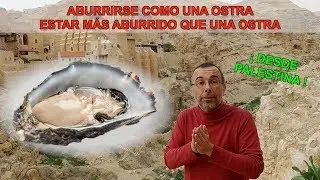Aburrido como una ostra. Perfecciona tu español, 43.