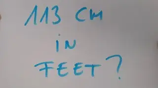 113 cm in feet?