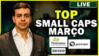 TOP AÇÕES SMALL CAPS PARA MARÇO 2024