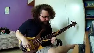 Fox Capture Plan - RISING (bass cover)