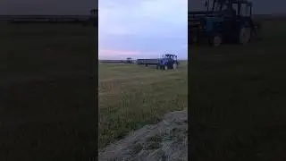 Сенокос 2024, жара +36.