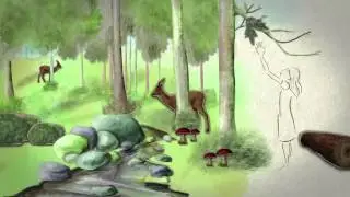 Международный день лесов 2014
