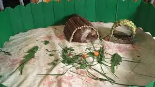 Продолжение