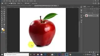 LASSO TOOL IN PHOTOSHOP