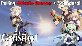 Pulling Albedo Banner + Standard Banner (Genshin Impact)
