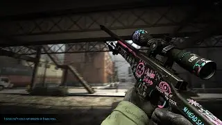 mini montage csgo lovely (❁´◡`❁)