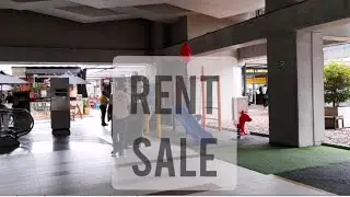 Palma Grande 0153 0152 0151