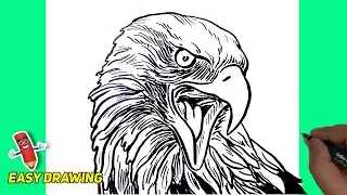How To Draw Angry Eagle Face Easy #trending #viral | Easy Drawings | Magic Drawings #birds #wildlife