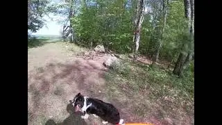 Norbrook brewery trails.  Dirt sessions with Maverick