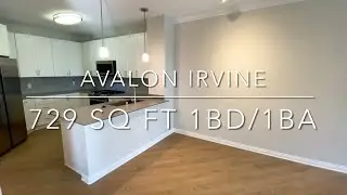 Avalon Irvine - Phase I 729 Sq Ft One Bedroom - One Bath Apartment (A4) Renovated
