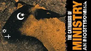 The Catharsis of Ministry 