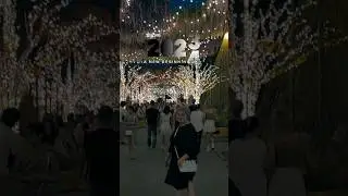 Ты был замечательным, 2023 #новыйгод #новый2024год