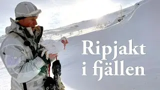 Jaktresan: Ripjakt i fjällen