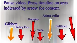Interactive Timeline Content