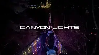 Magical Winter Lights at Capilano Suspension Bridge Park, Vancouver