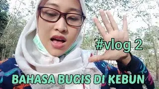 #AVLOG 2 BAHASA BUGIS DI KEBUN 😅