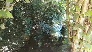 10/07/2020  Part 3