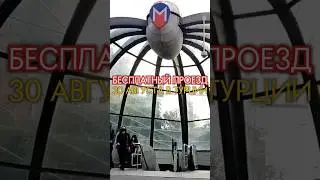 29 августа 2024 г.