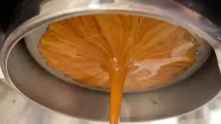 Beautiful naked (bottomless) espresso extraction