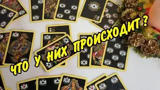 Что ПРОИСХОДИТ В ОТНОШЕНИЯХ Крестового Короля 🤴♣️ и Бубновой Дамы 👸♦️? Расклад онлайн