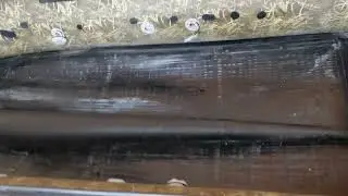 Шторм лайн  340 и мышки.