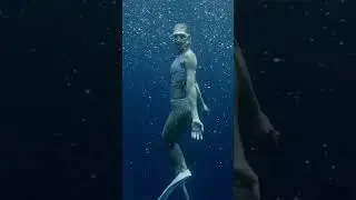 Buceo con ballenas 🐋 y me AHOGO