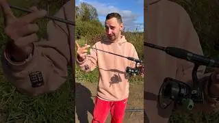 Обзор на Пикер от Daiwa 