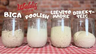 🍕 Der große Pizzateig-Vergleich: Biga vs. Poolish vs. Lievito Madre vs. Direktteig 🍕