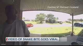 Doorbell cam captures snake bite strike man's face