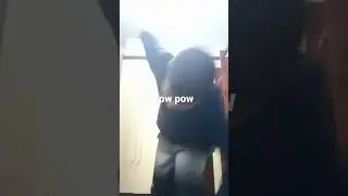era pow era pow pow
