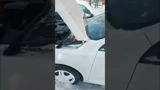 Rasmga ol rasmga
