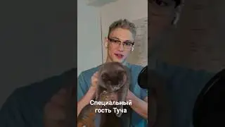 Специальный гость Туча