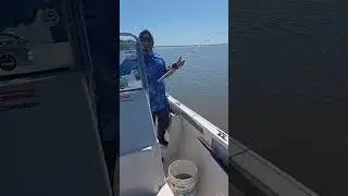 DOBLETE DE DORADO DE MIS AMIGOS #pesquero #fishing #pesqueria #pescadores #dorado #amigos#fisherman