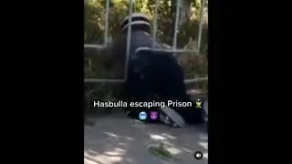 ВОТ ТАК ХАСБИК УБЕГАЕТ ИЗ ШКОЛЫ #хасбик #рекомендации
