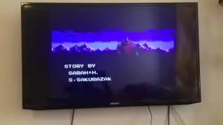 Final title Ninja Gaiden 2