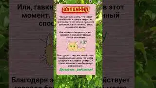 Как запомнить... полезно знать