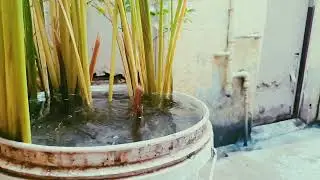 slow motion