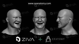 ZIVA Face Trainer & SA Anatomy 3D Anatomy Model