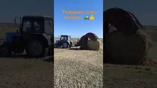 Выгрузка тюка из пресс-подборщика ПР-Ф-750 за трактором МТЗ-80.1