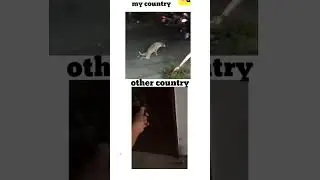 My country vs other country #dankmemes #comedyvideo #memes #theboys #trending