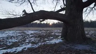 Groote Zand (februari 2025)