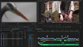 Why is the match frame shortcut helpful? | Quick Tip