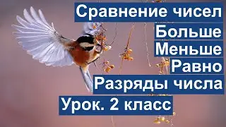 Урок. Сравнение чисел. Больше. Меньше. Равно. Разряды числа. Математика 2 класс 