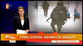 YAVRU KÖPEĞE,MEHMETÇİK ŞEFKATİ.!