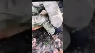 поймали террориста