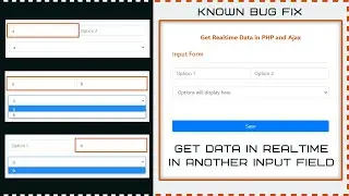 Get Realtime Dynamic Data into Input Field using PHP and Ajax | Dependent Select Option